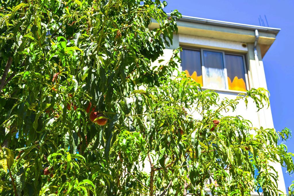 Pemaj Hostel Shkodër Eksteriør bilde